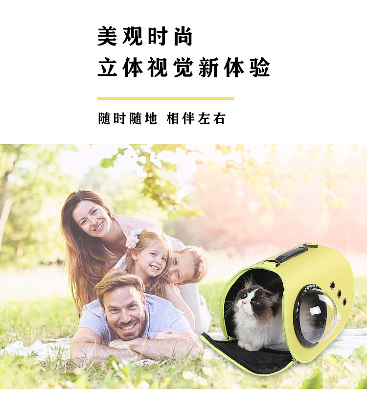 定制宠物便携太空舱外带猫包手提可折叠单肩包外出背包卡通猫咪包(图2)